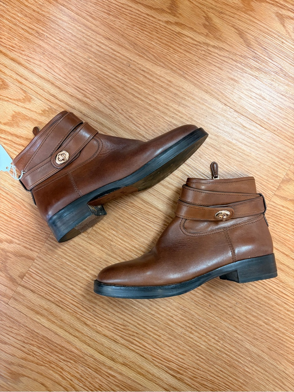 Coach dark brown leather strappy ankle boots with gold trust buckle detail